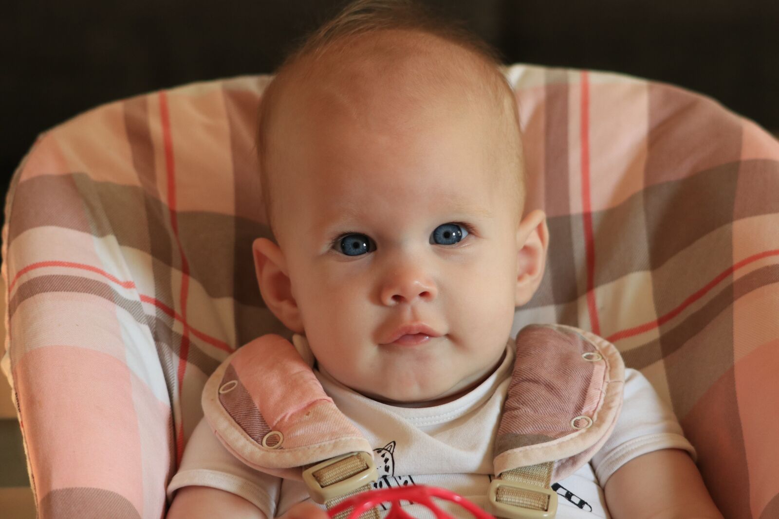 Canon EF 70-300 F4-5.6 IS II USM sample photo. Child, baby, girl photography