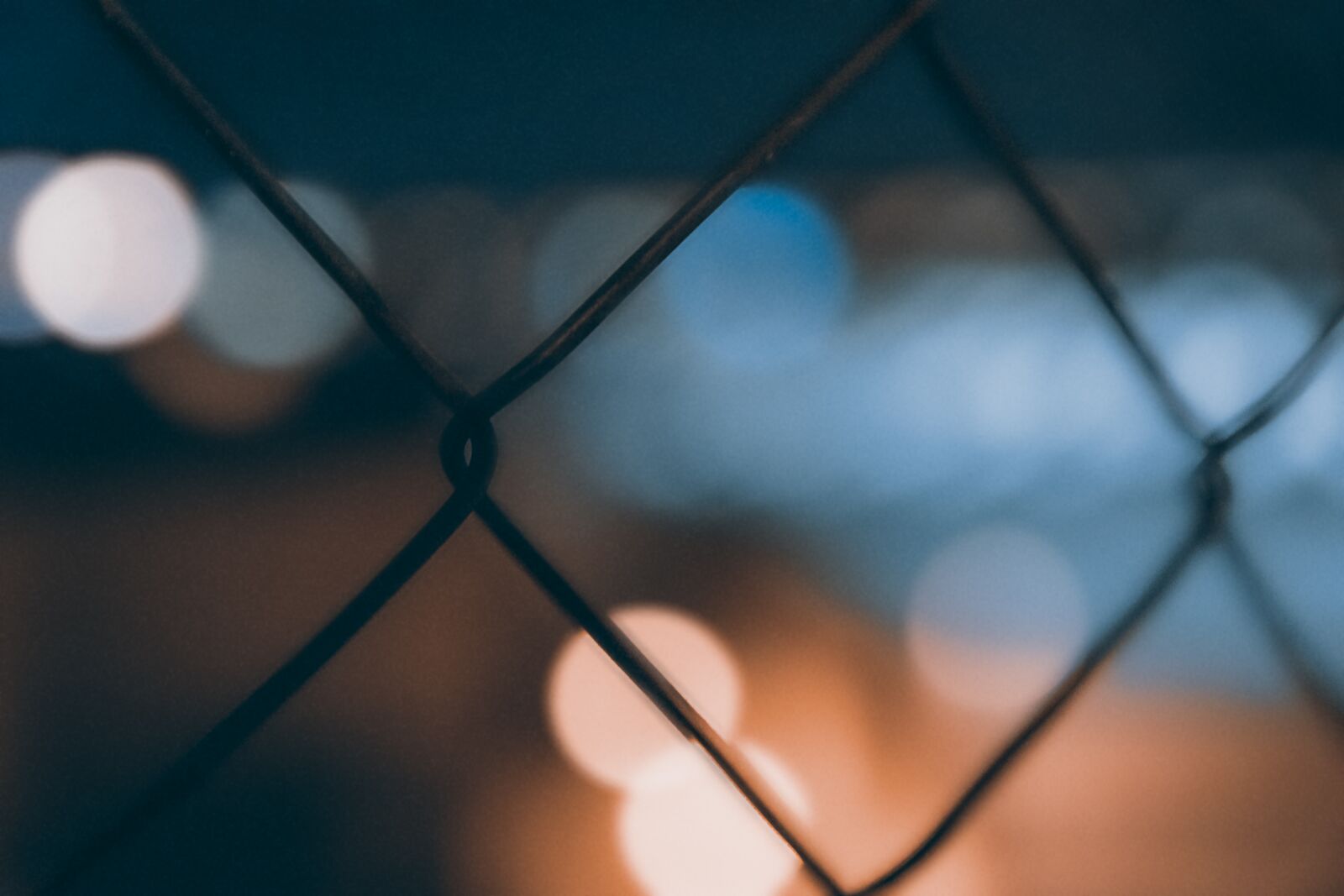 Nikon D5300 sample photo. Wire, bokeh, dark photography