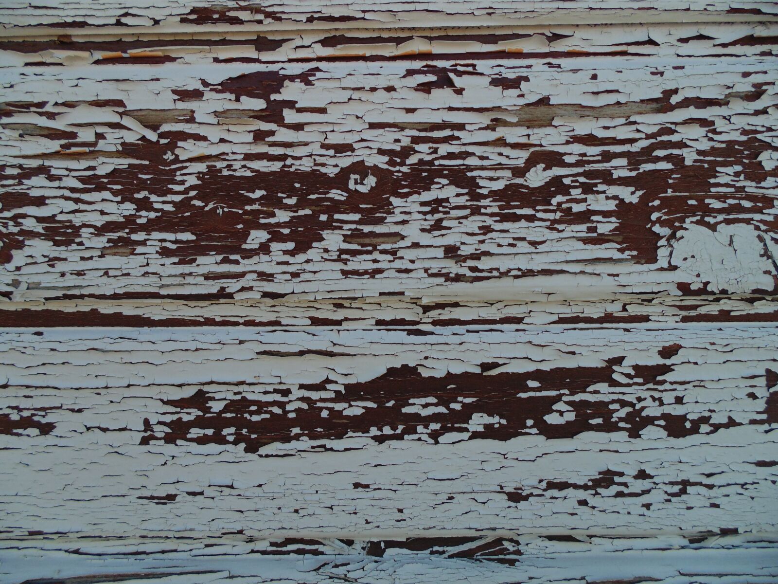Sony Cyber-shot DSC-H200 sample photo. Wood, pattern, brown photography