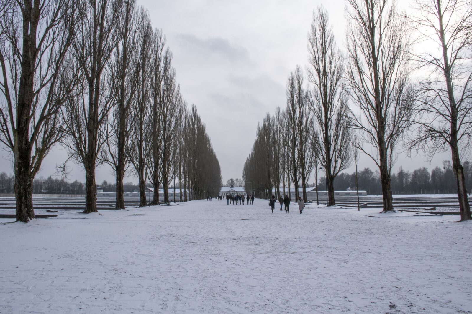 Nikon D5500 sample photo. Restroom, nazi, concentration camp photography