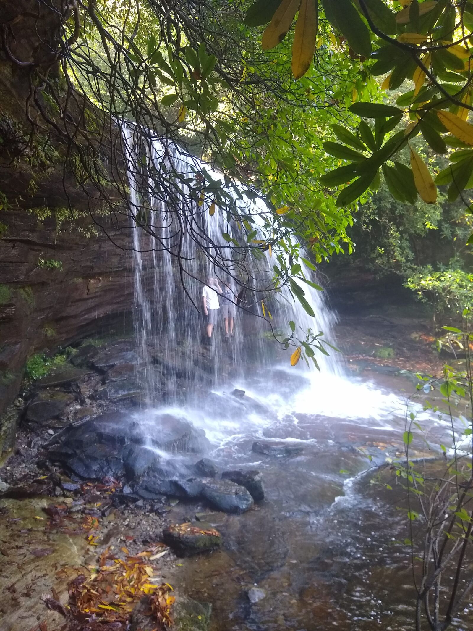 Motorola moto g(8) plus sample photo. Waterfall, nature, stream photography