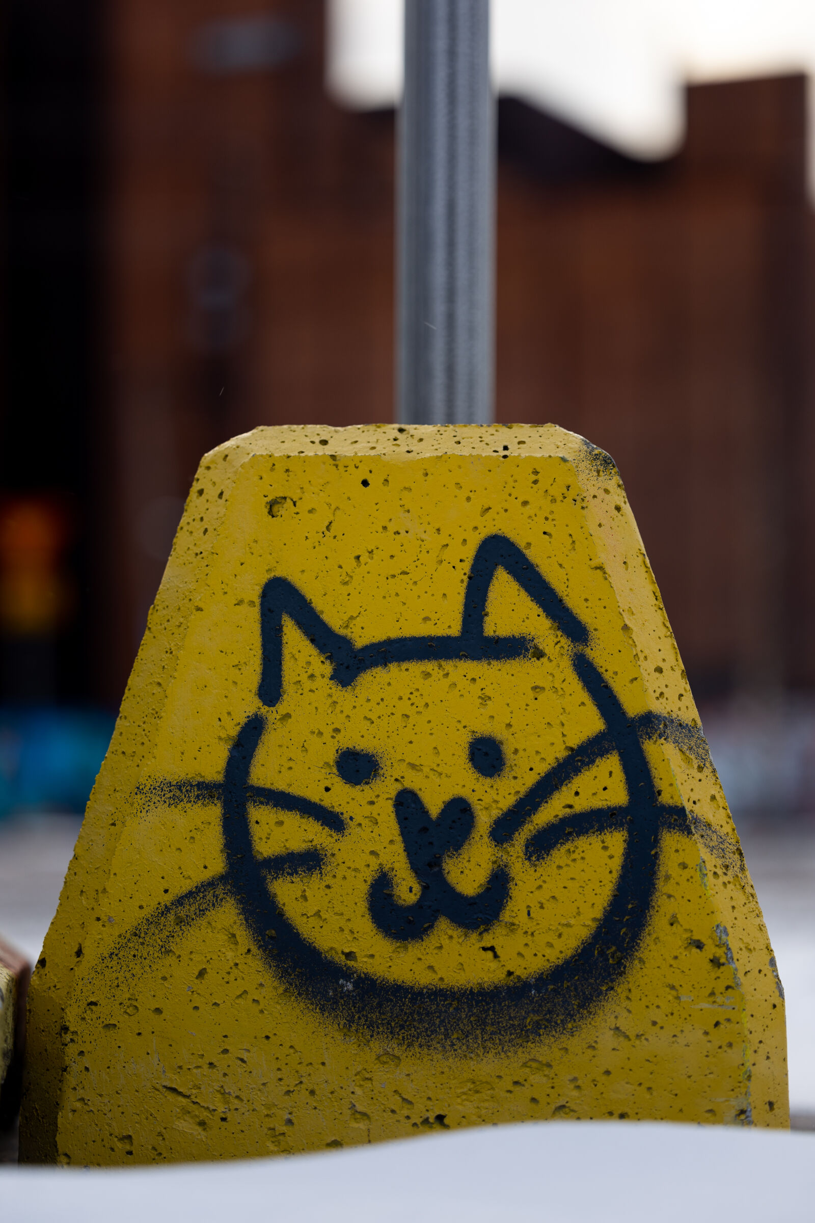 Canon EOS R3 sample photo. Cat graffiti photography