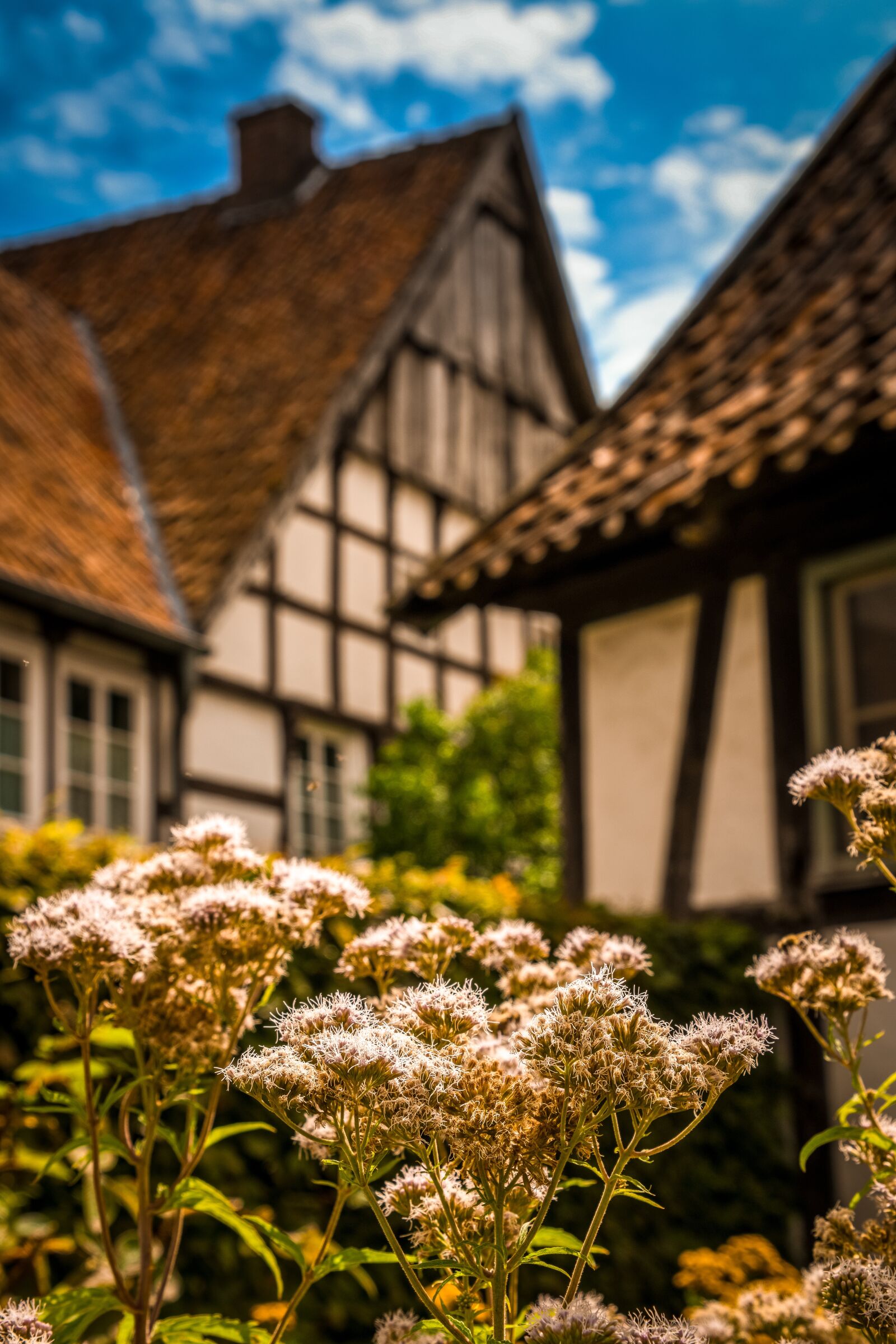 Tamron 28-300mm F3.5-6.3 Di VC PZD sample photo. Garden, houses, truss photography