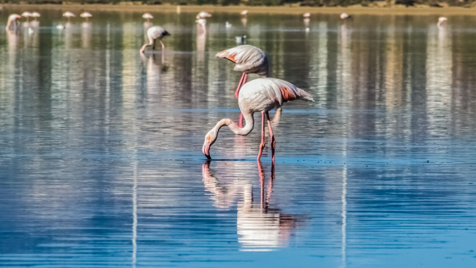 Nikon D3300 sample photo. Water, reflection, lake photography