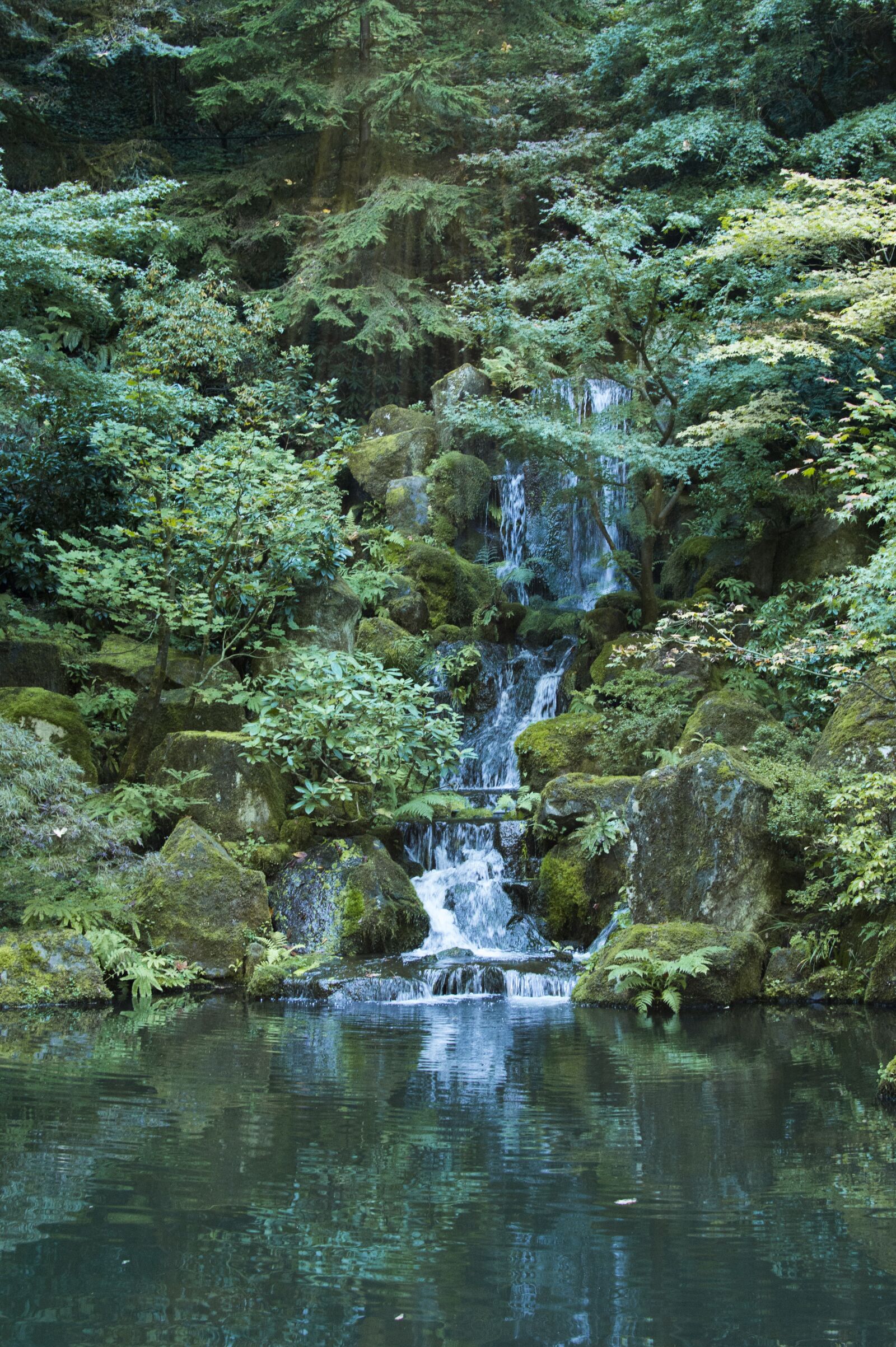 Nikon D3200 sample photo. Waterfall, garden, pond photography