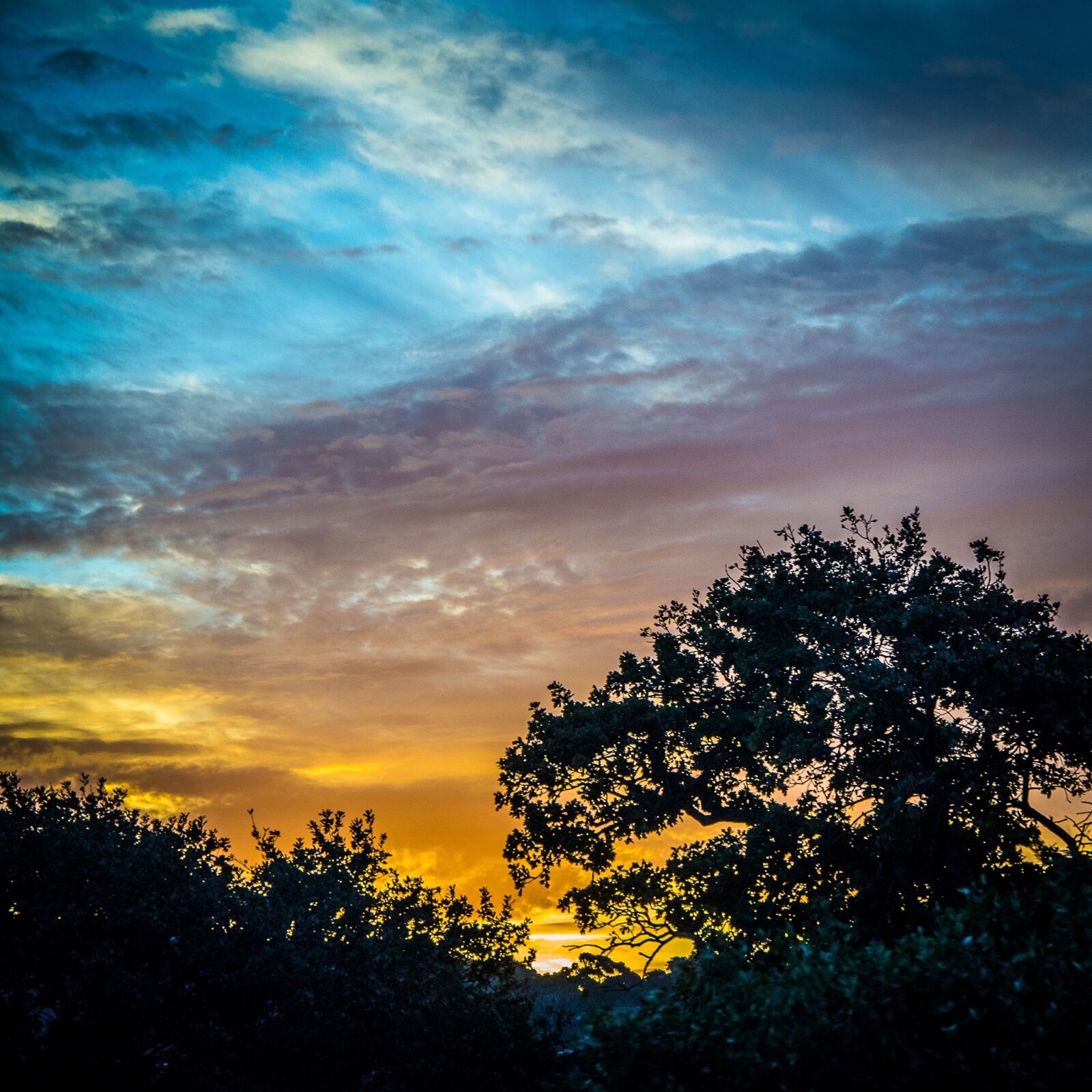 Nikon D600 sample photo. South africa, table mountain photography