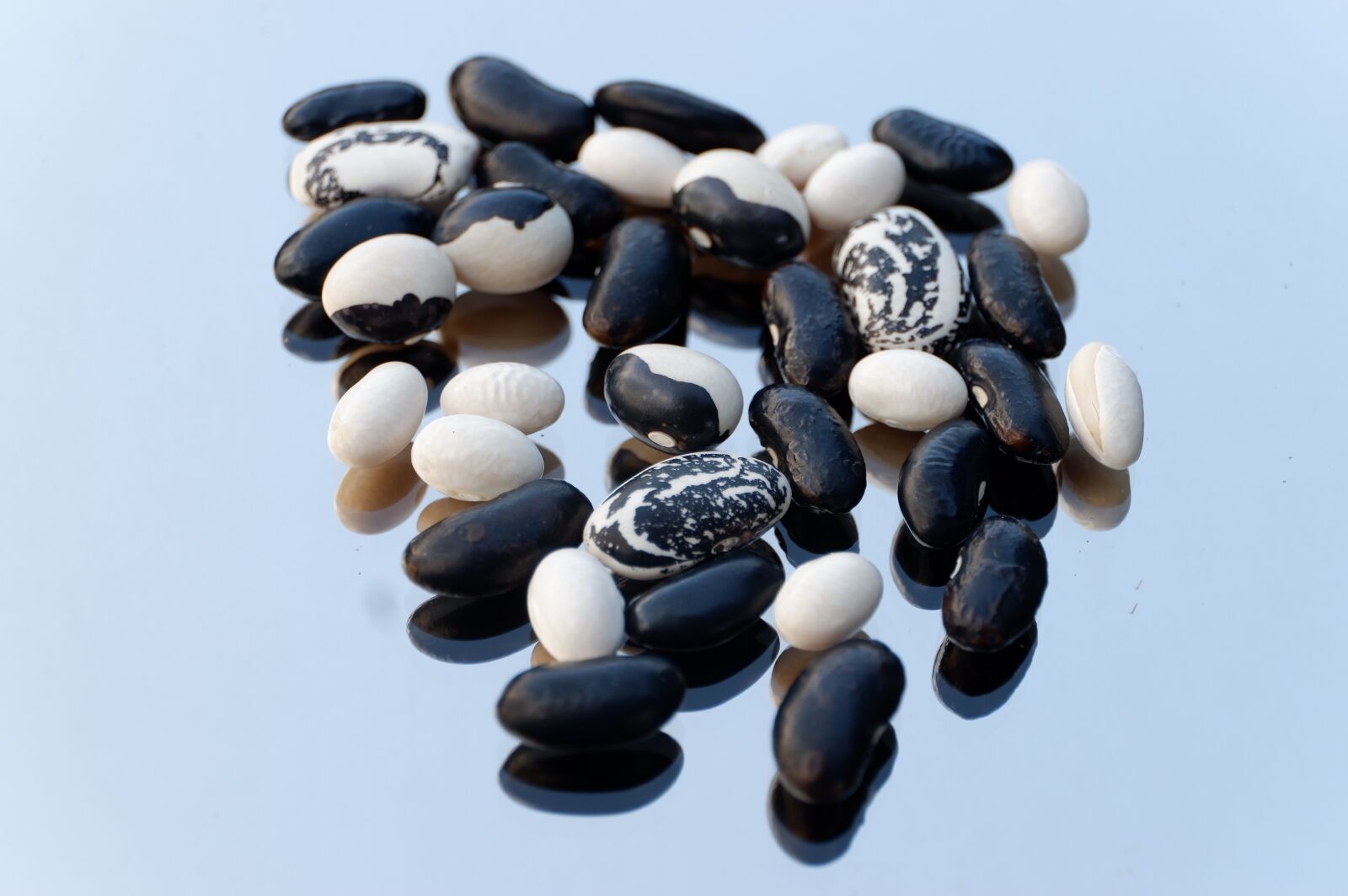 Fujifilm X-A3 + Fujifilm XC 16-50mm F3.5-5.6 OIS II sample photo. Beans, black, white photography