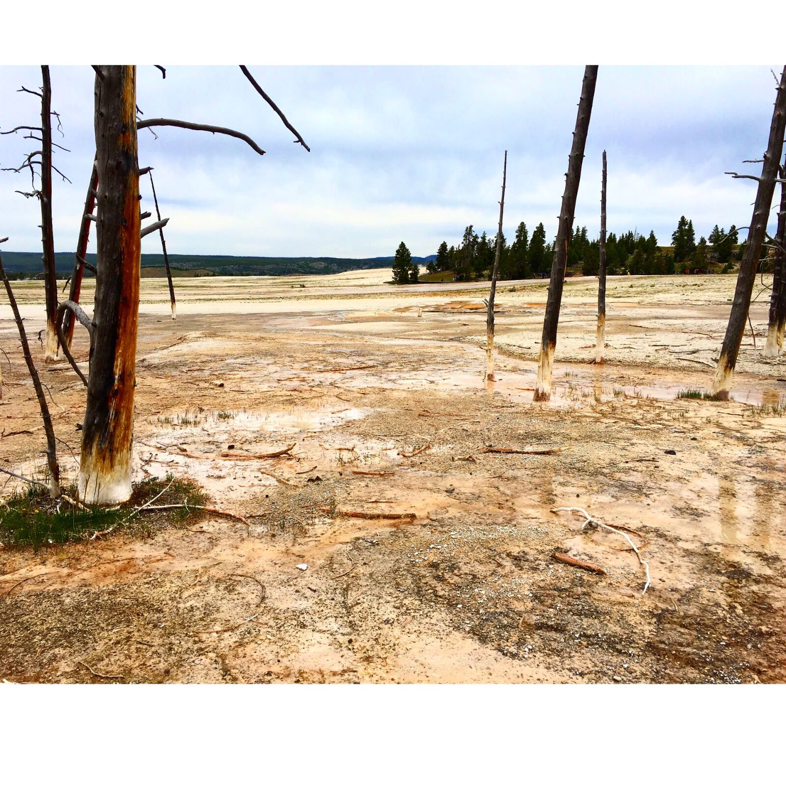 Apple iPhone 6s sample photo. National, park, yellowstone photography