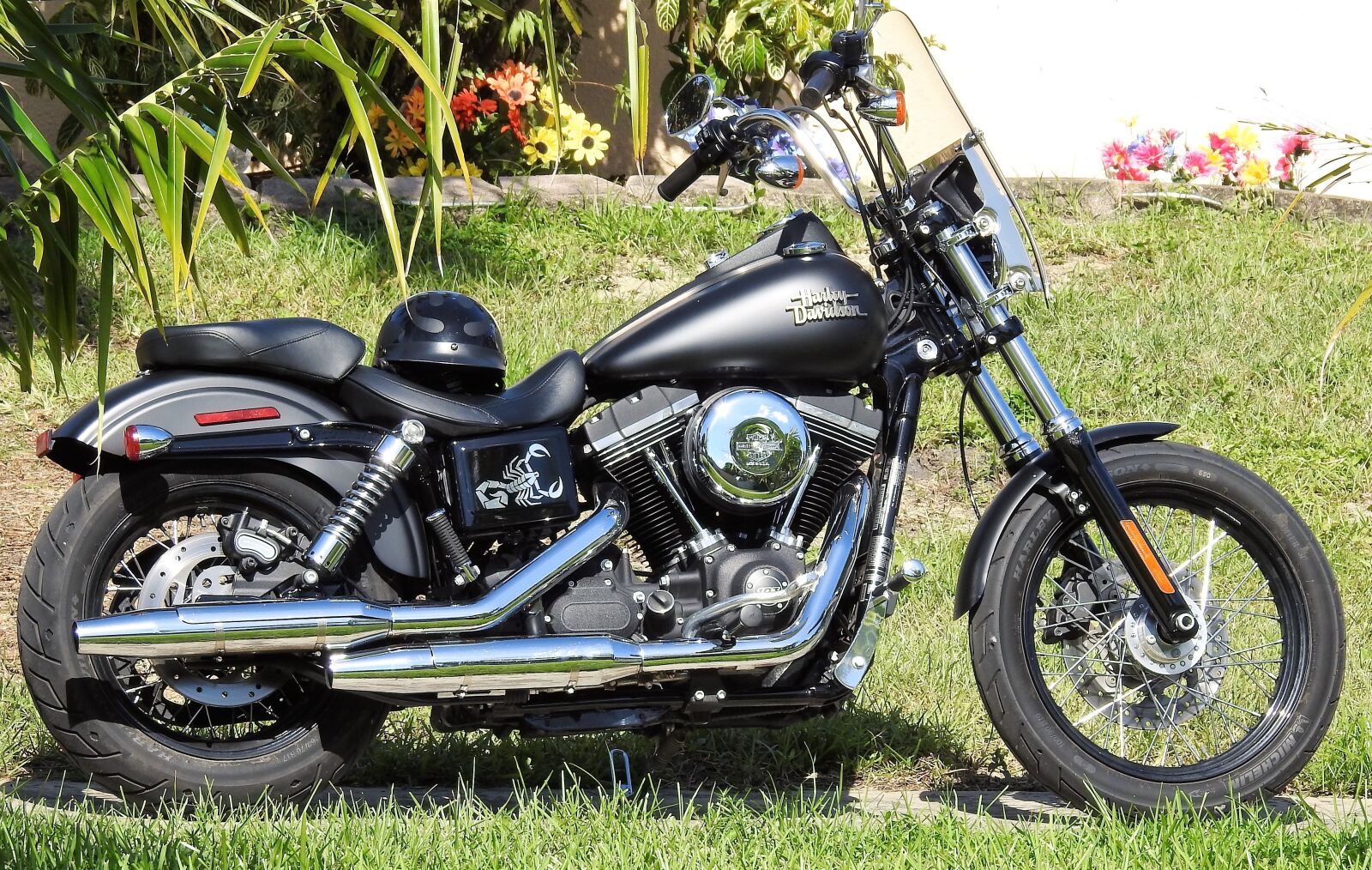 Nikon Coolpix P900 sample photo. Harley davidson, motorcycle, harley photography