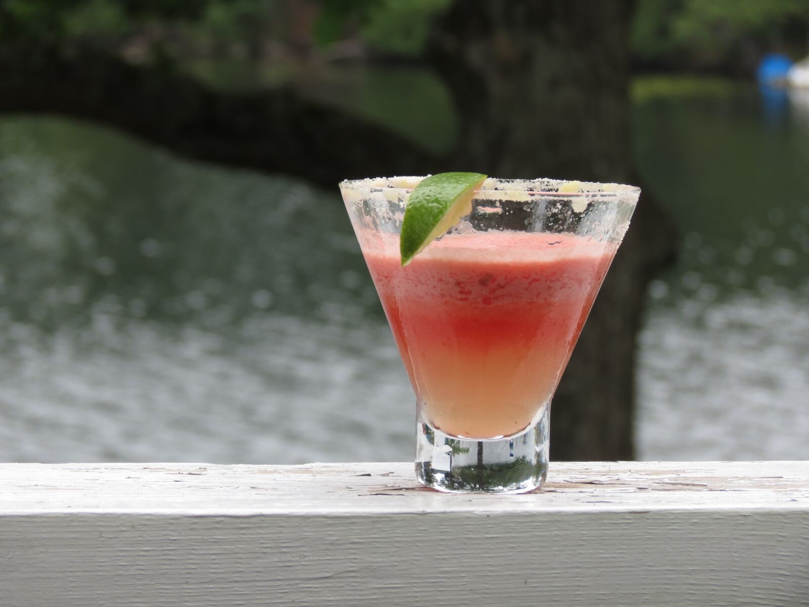 Canon PowerShot SX40 HS sample photo. Cocktail, relax, drink photography