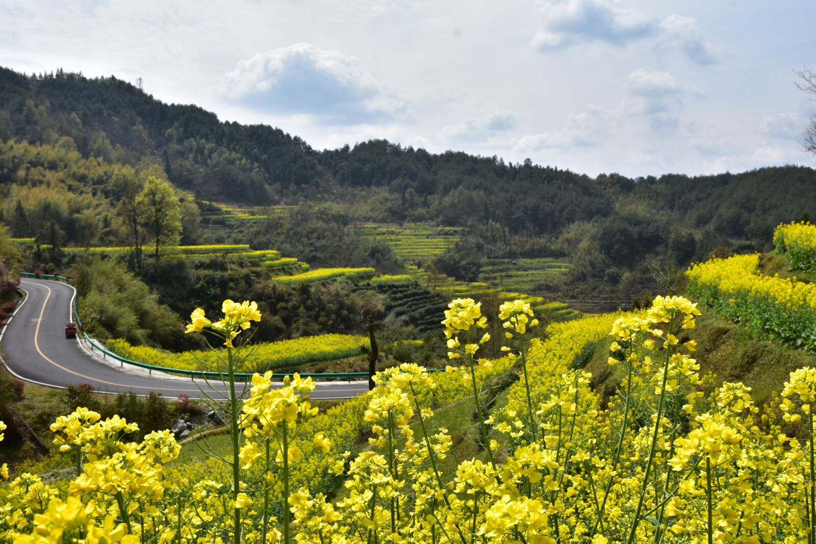 Nikon D7200 sample photo. Rape, jiangnan, terrace photography