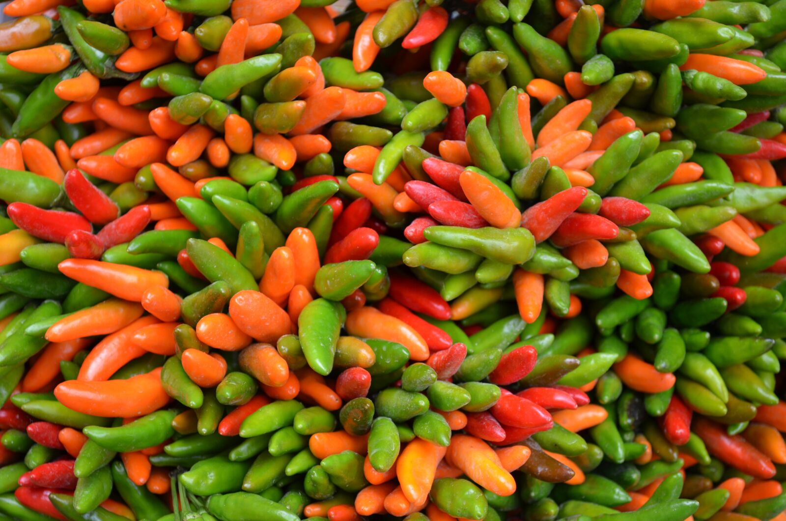 Nikon D5100 sample photo. Peppers, vegetable, paprika photography
