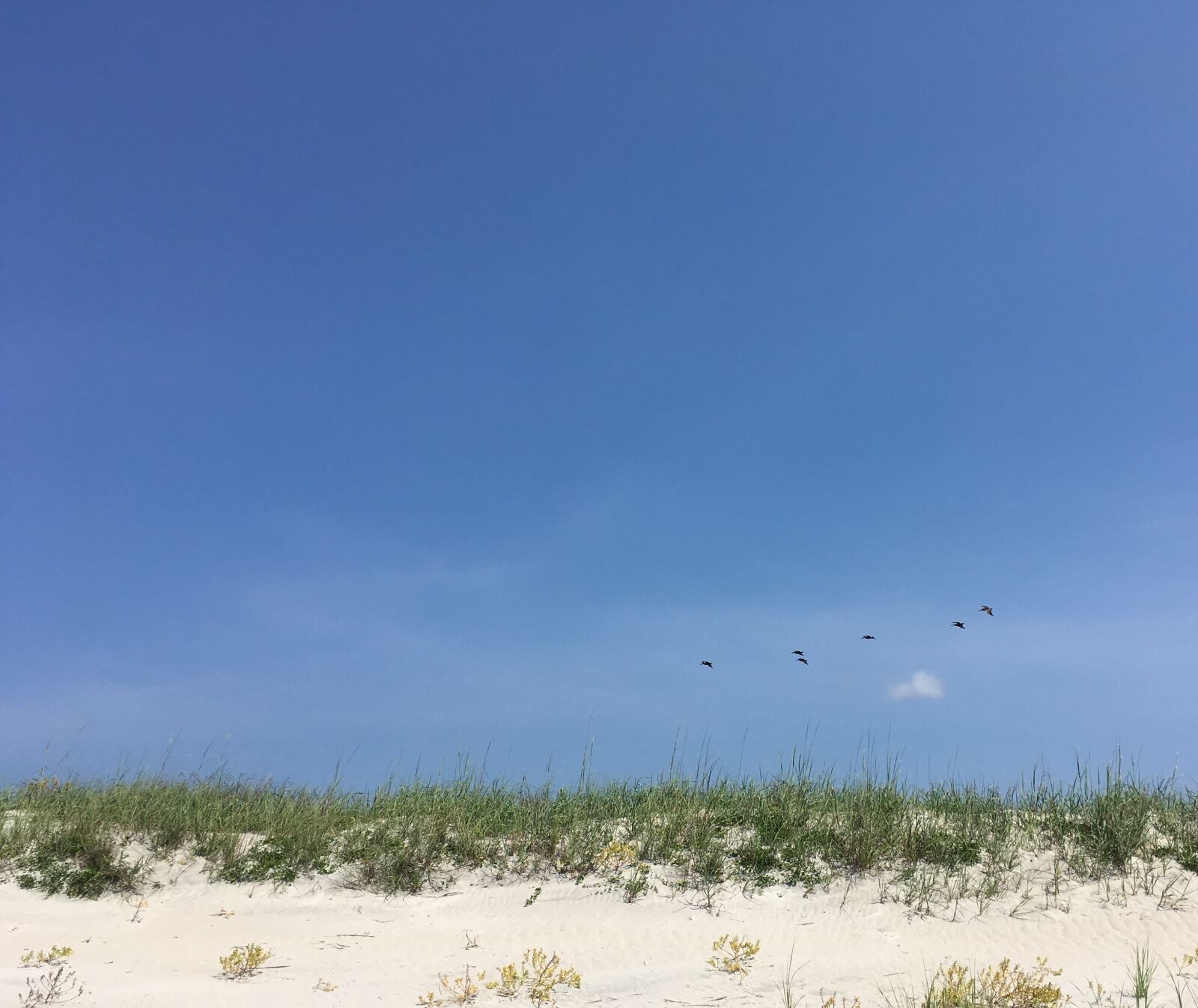 iPhone SE back camera 4.15mm f/2.2 sample photo. Blue sky, sand, beach photography