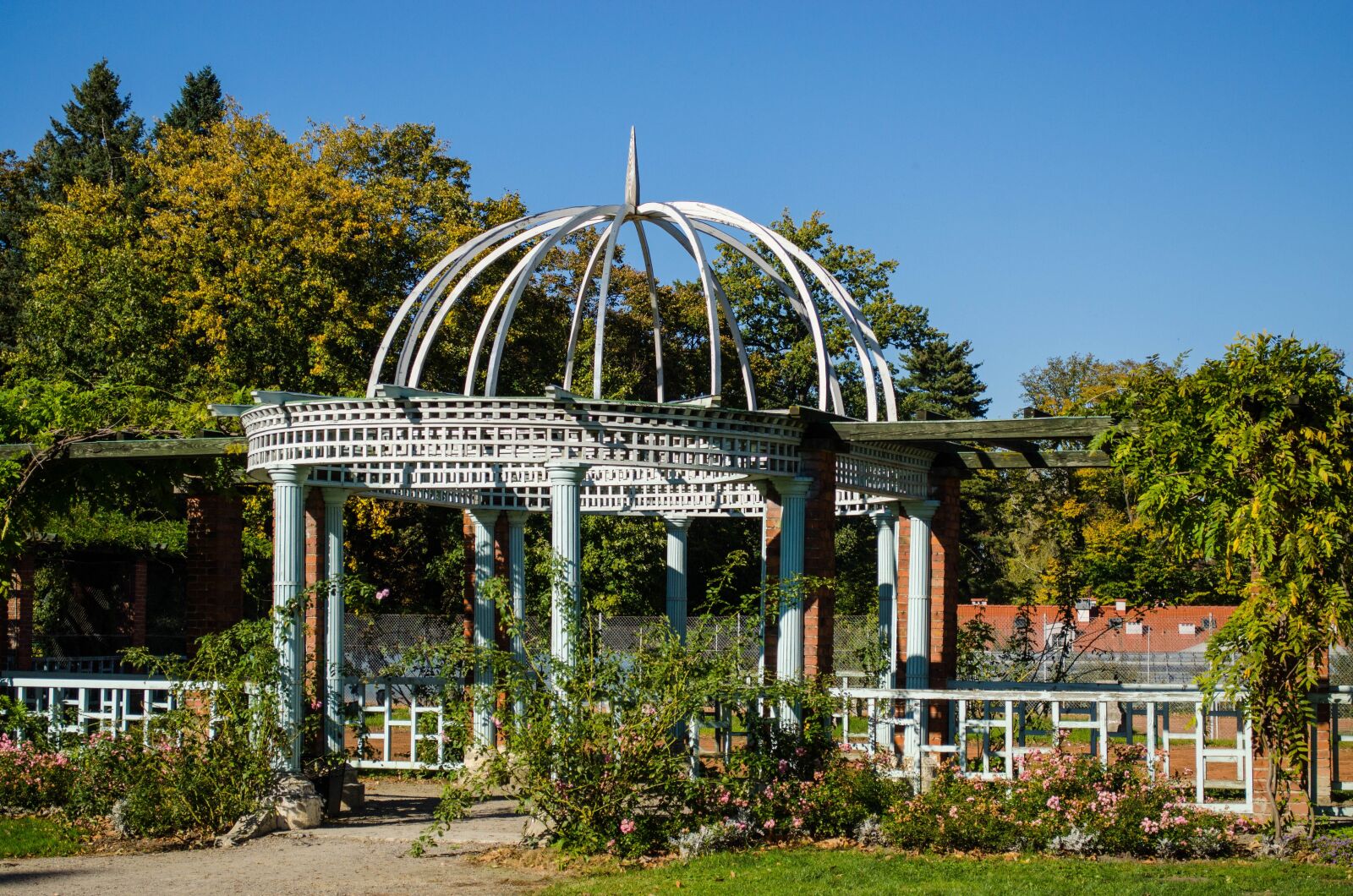 Nikon D5100 sample photo. Park, garden terrace, garden photography