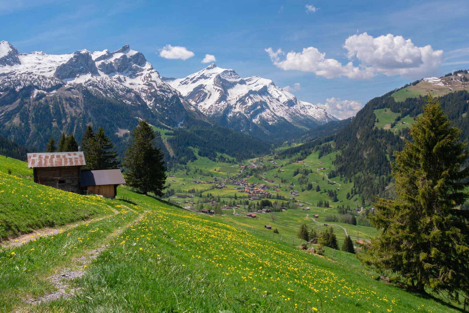 Panasonic Lumix G Vario 14-140mm F3.5-5.6 ASPH Power O.I.S sample photo. Landscape mountains alps, bernese photography