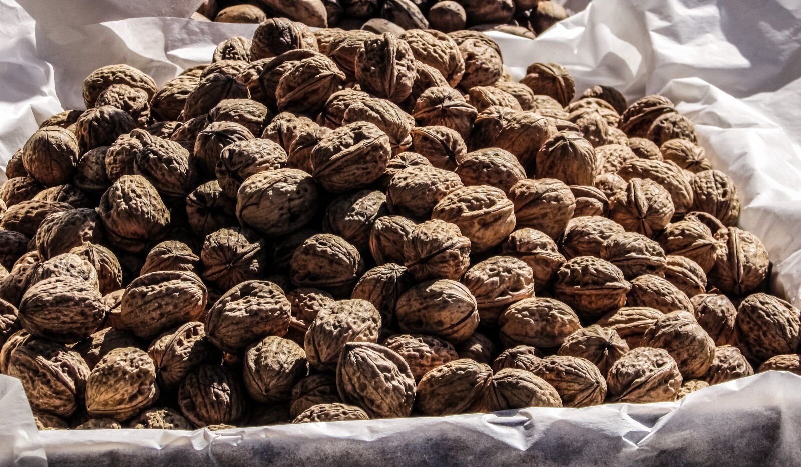 Canon PowerShot SX400 IS sample photo. Walnuts, nuts, food photography