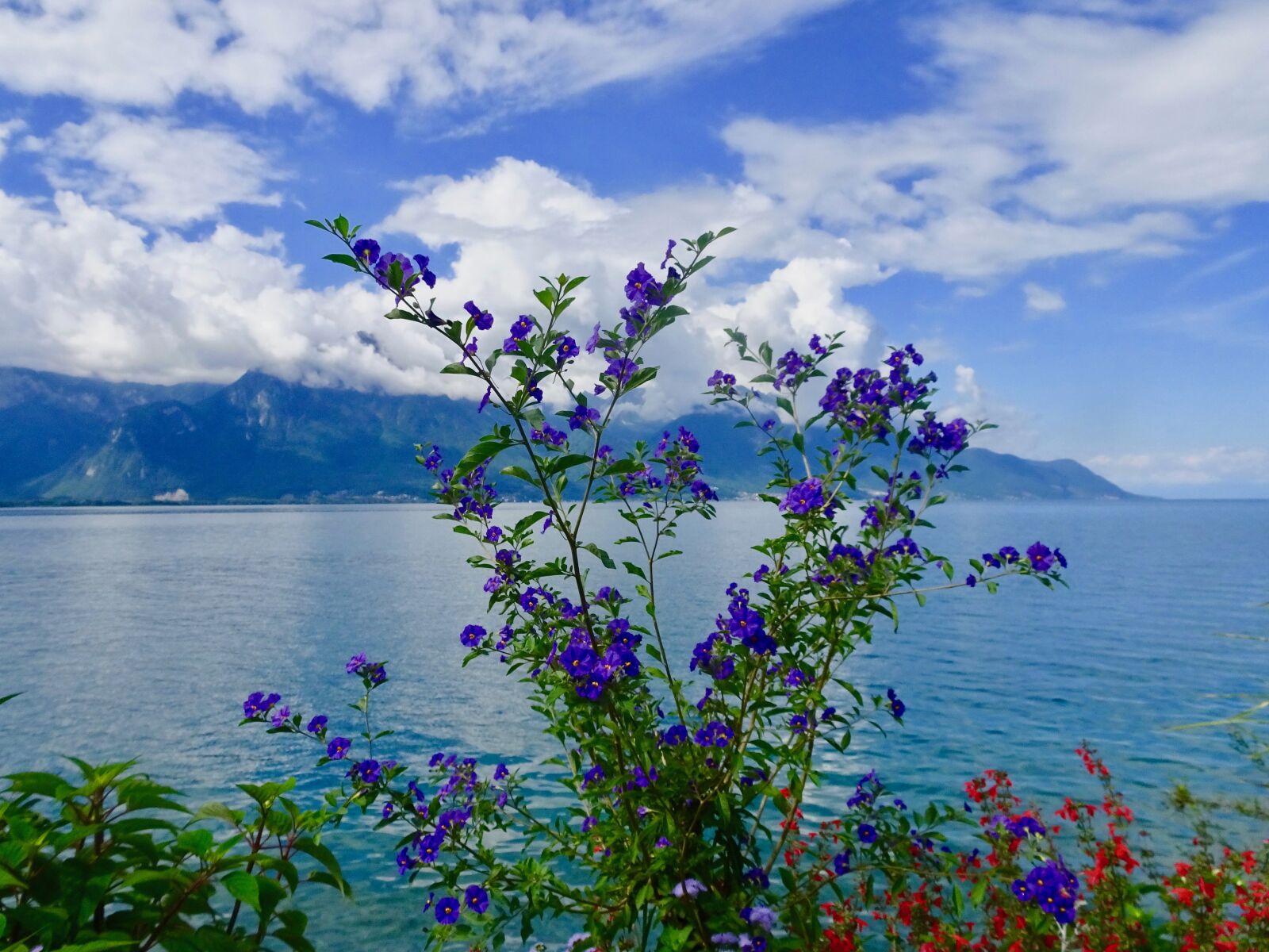 Sony Cyber-shot DSC-HX90V sample photo. Nature, water, summer photography