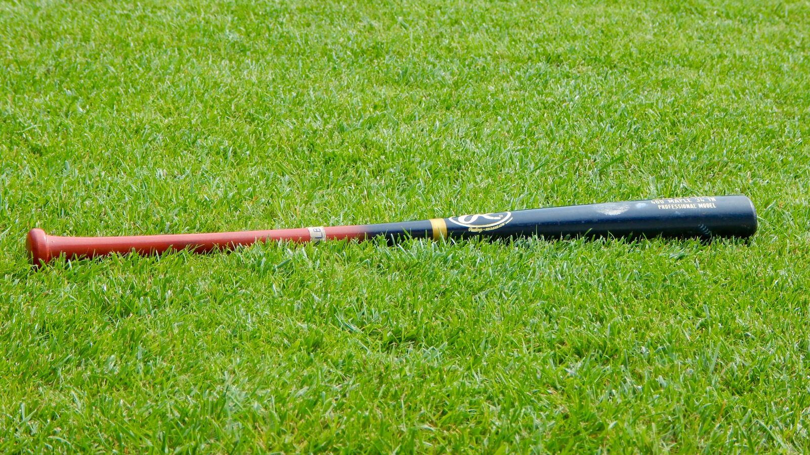 Nikon Coolpix L830 sample photo. Baseball, baseball bat, sport photography