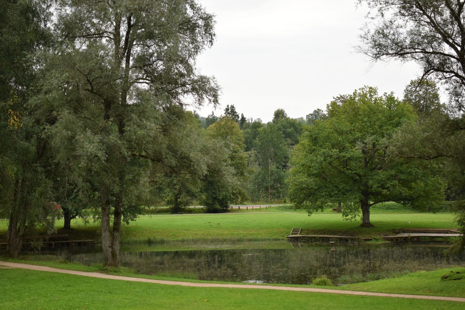 Nikon D3300 sample photo. Landscape, pond, nature photography