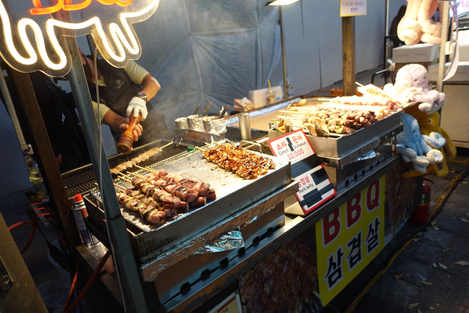 Sony ZV-1 sample photo