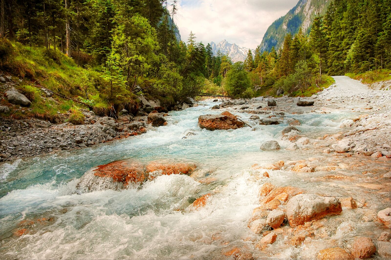 Nikon D40 sample photo. Wimbach, ramsau, forest photography