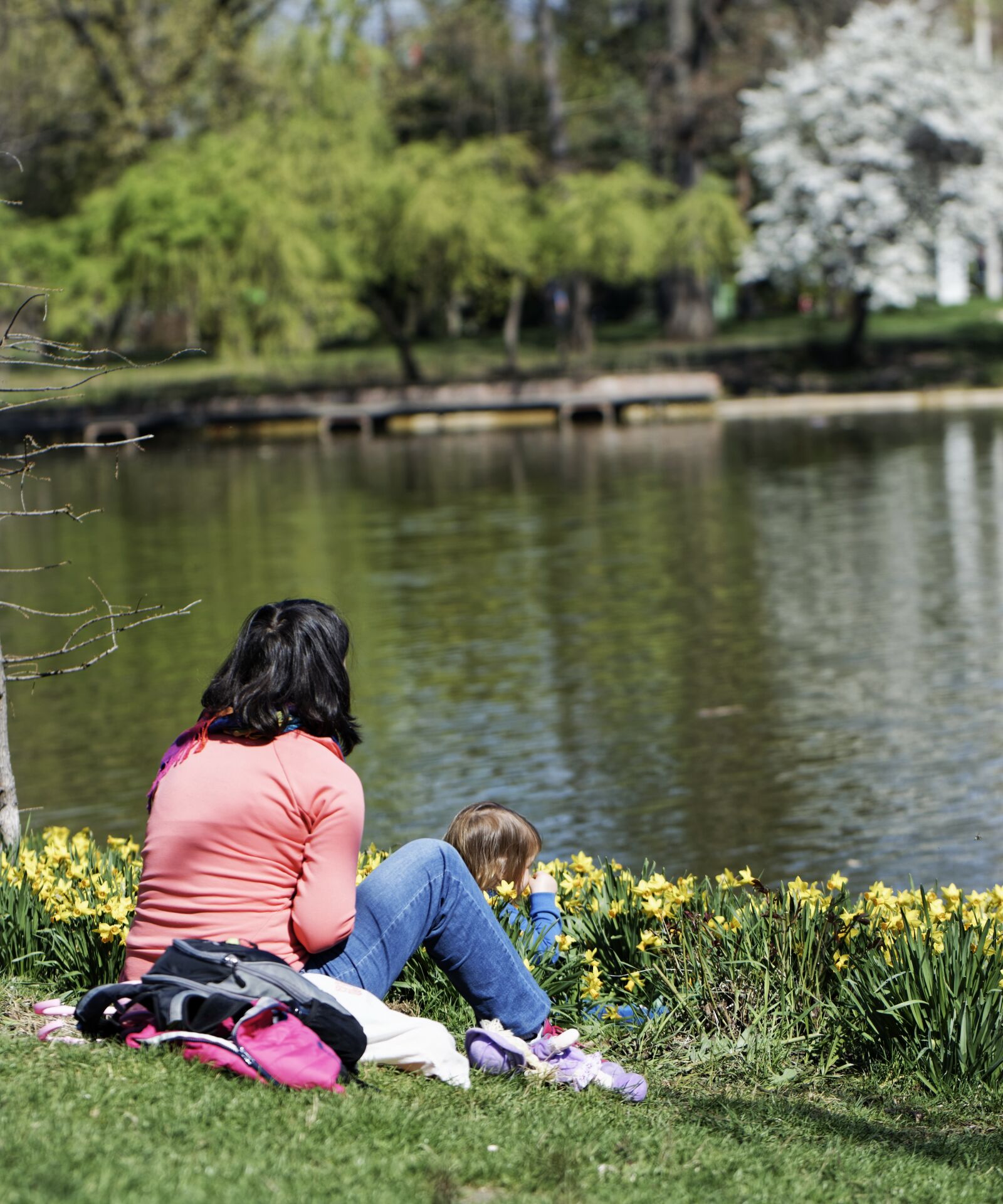 Nikon D5300 sample photo. Park, nature, lake photography
