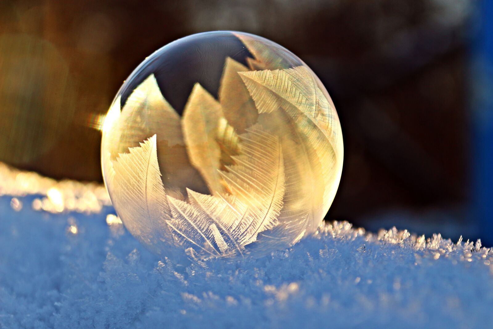 Canon EOS 100D (EOS Rebel SL1 / EOS Kiss X7) sample photo. Soap bubble, frost, snow photography