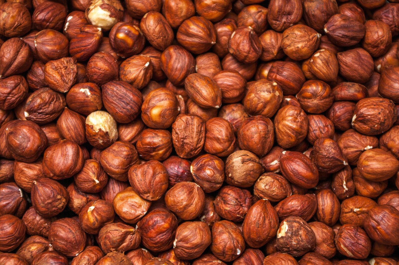 Pentax K-7 sample photo. Nuts, hazelnut, protein photography