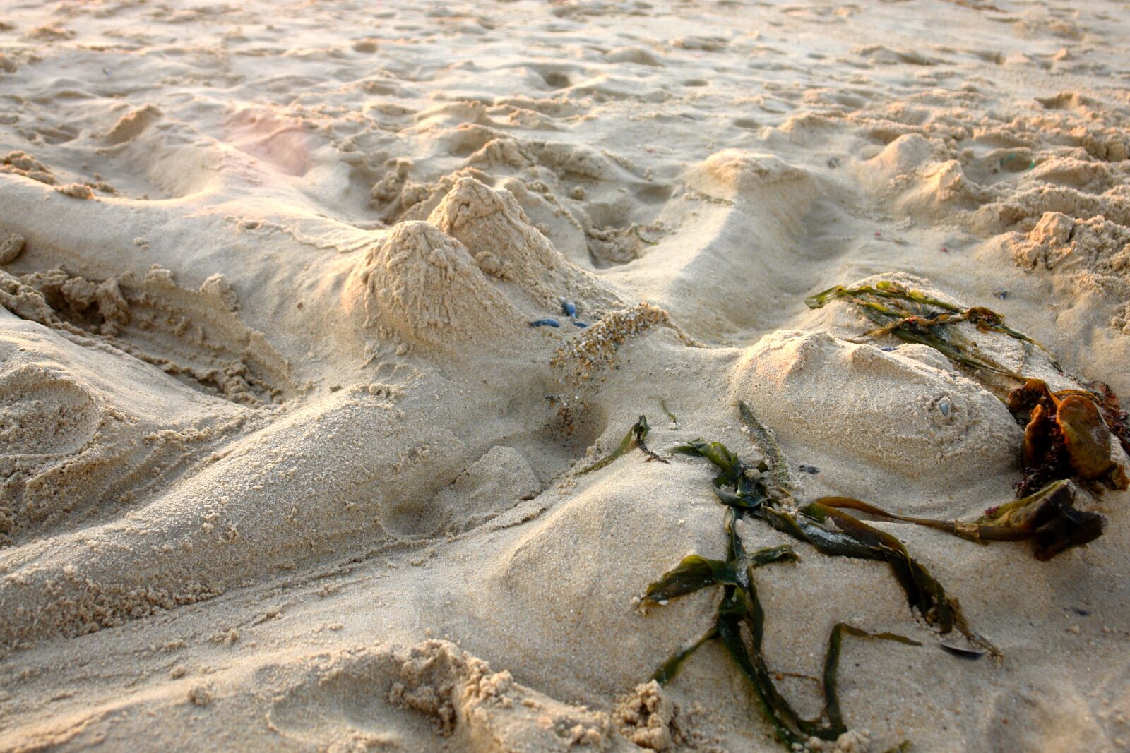 Sony DSC-R1 sample photo. Beach, sand, sand sculpture photography