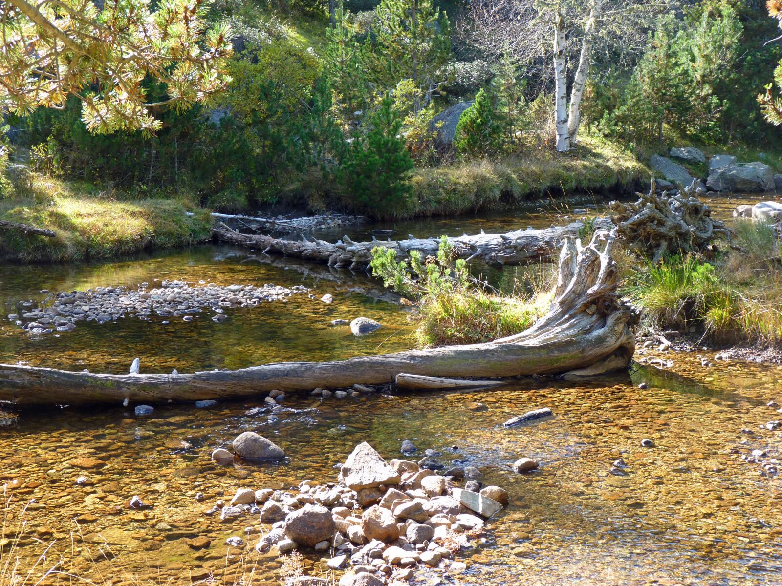 Panasonic Lumix DMC-FZ35 (Lumix DMC-FZ38) sample photo. River, mountain, nature photography
