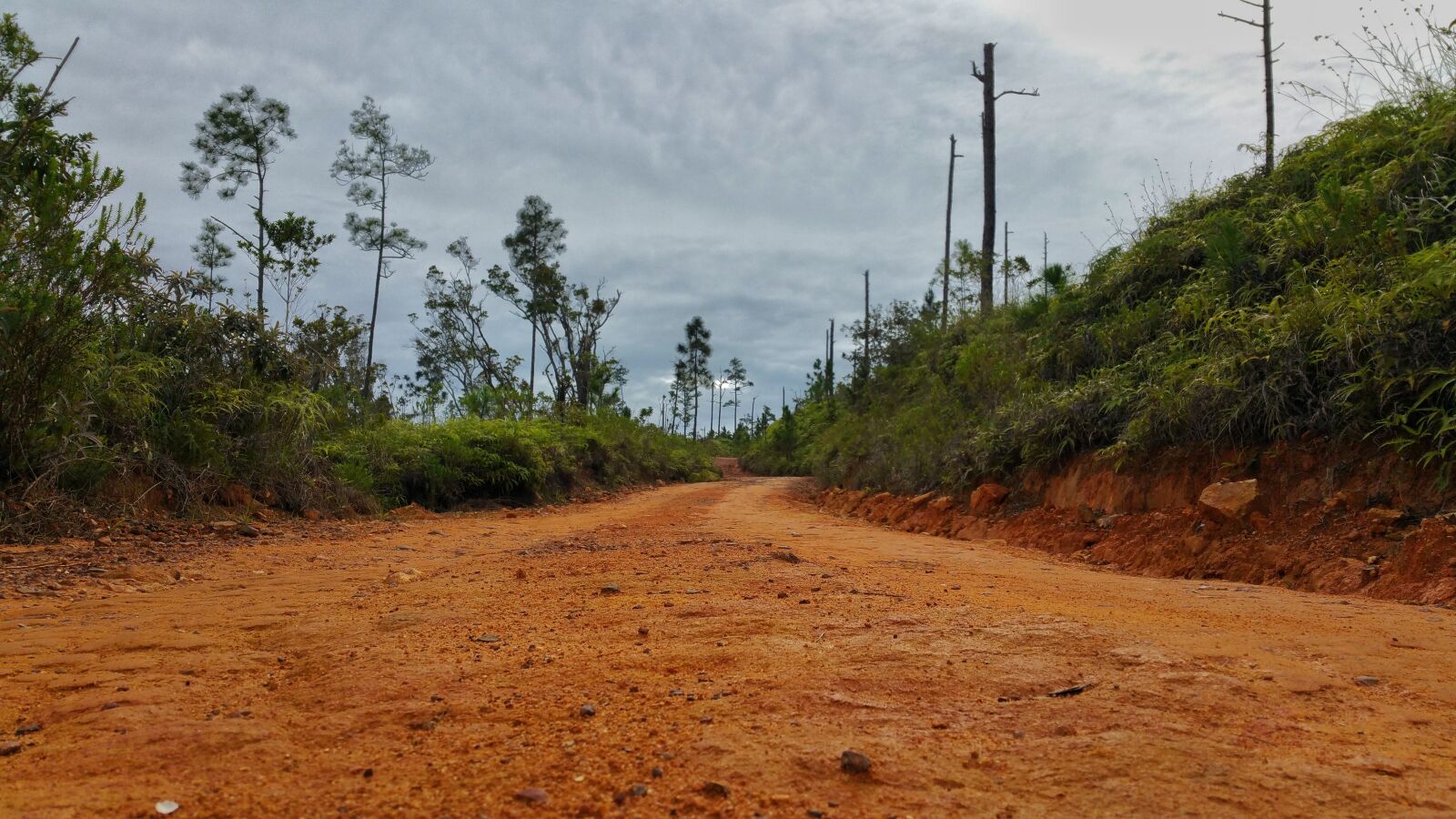 Samsung Galaxy Note4 sample photo. Gravel road, rock's, tree's photography