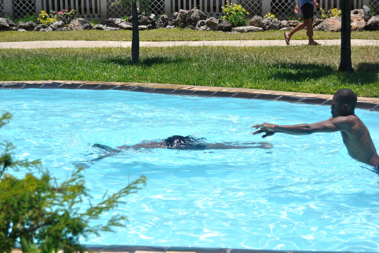 Nikon D3000 sample photo. Swimming, sports, fun photography
