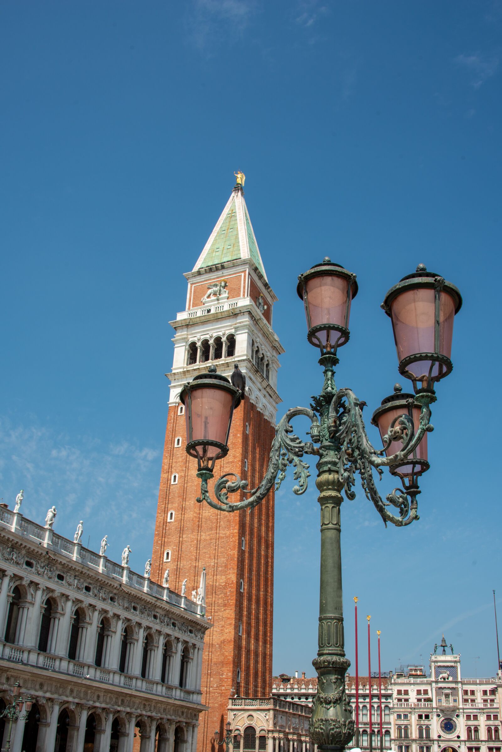 Nikon D800 sample photo. Venice, italy, piazza photography