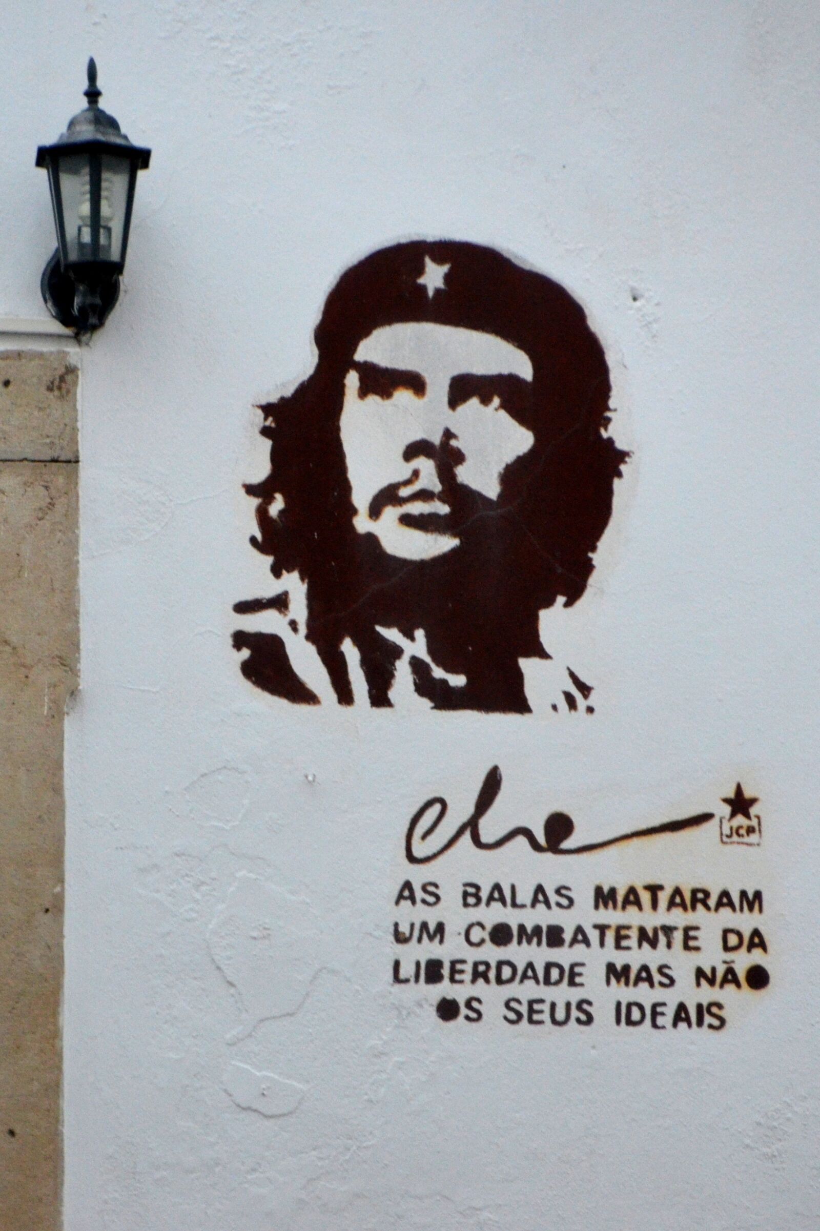 Nikon D5100 sample photo. Che, guevara, che guevara photography