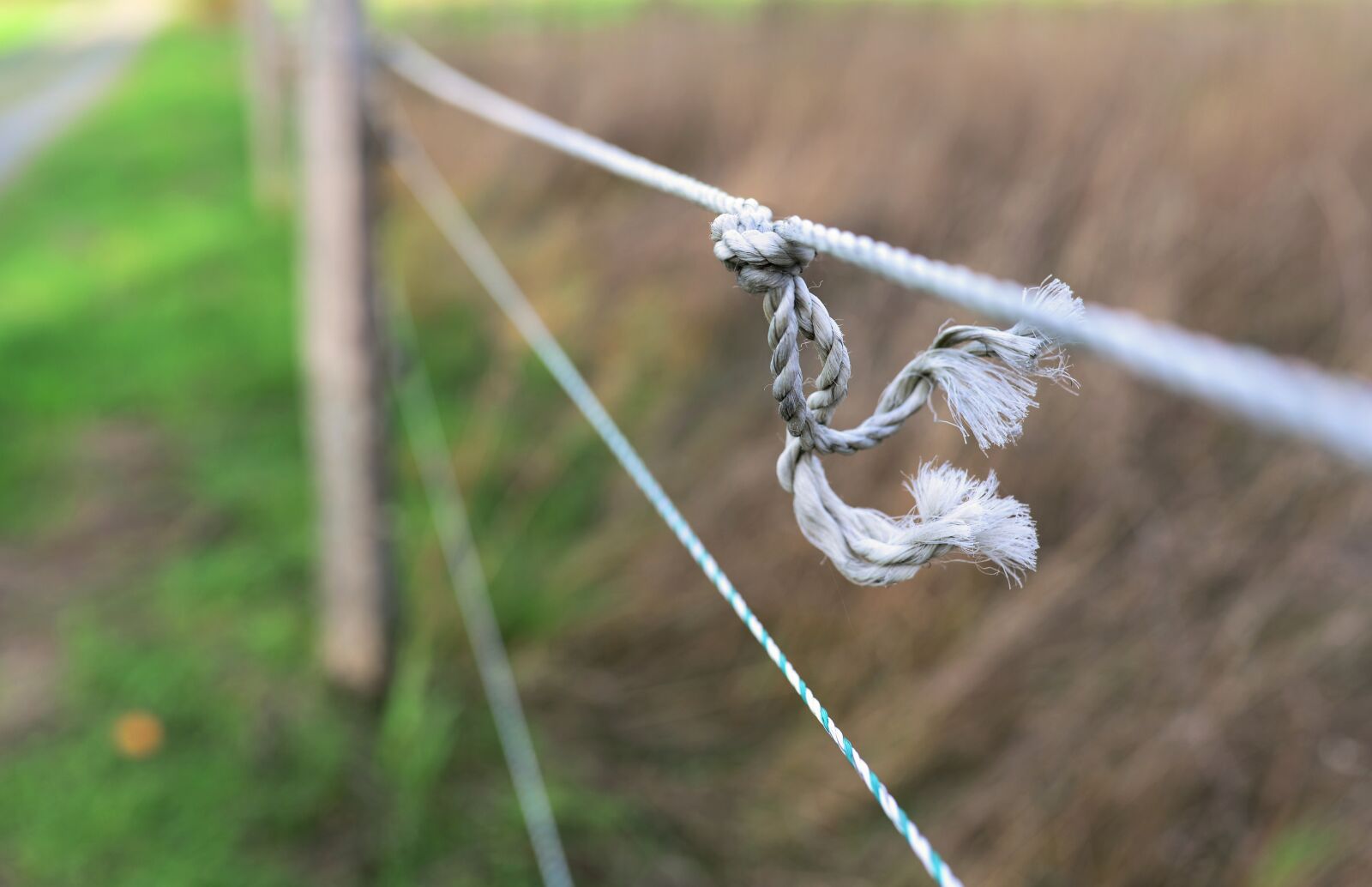 Nikon D610 sample photo. Rope, knot, pasture fence photography