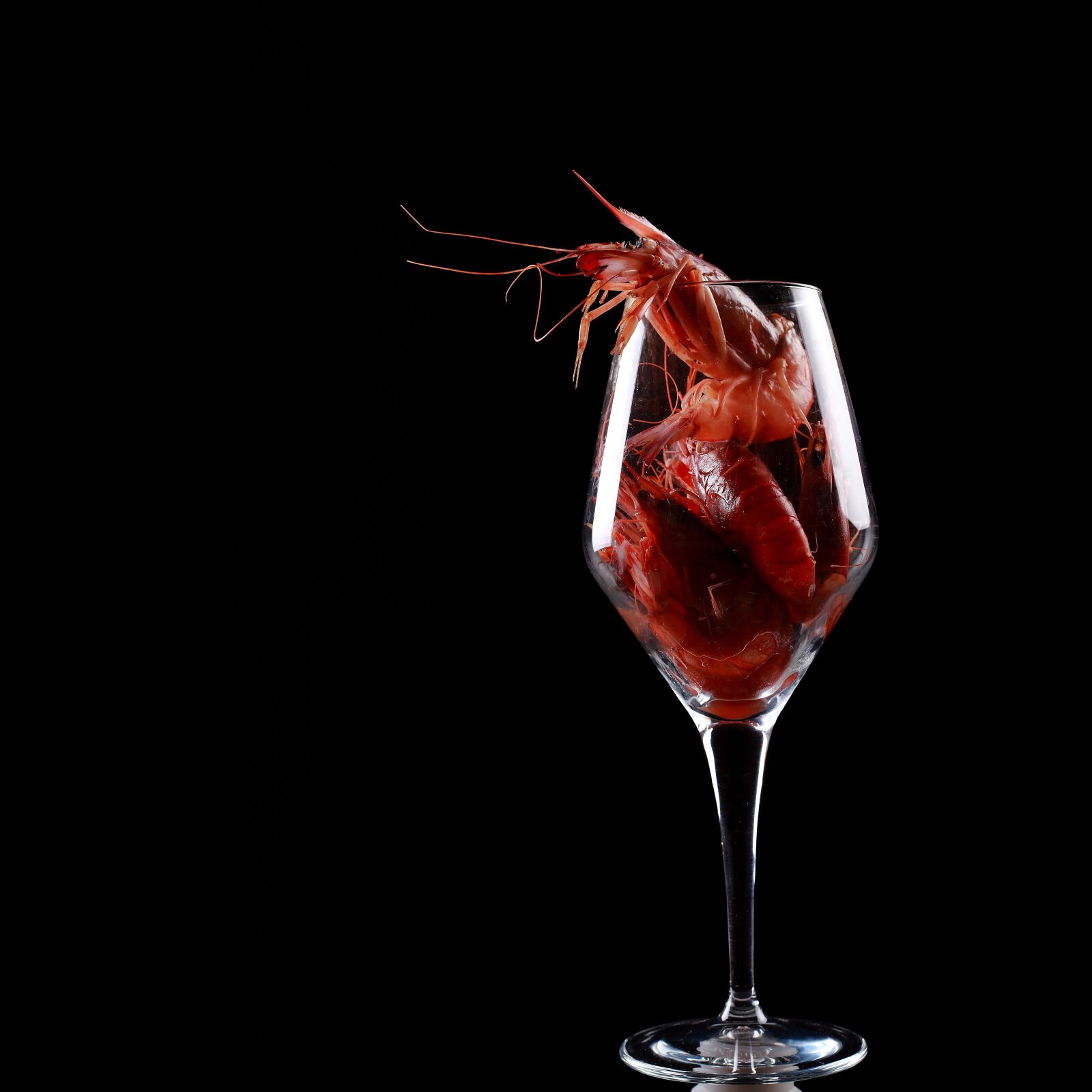 Canon EOS 5D Mark II sample photo. Shrimp, red, glass photography