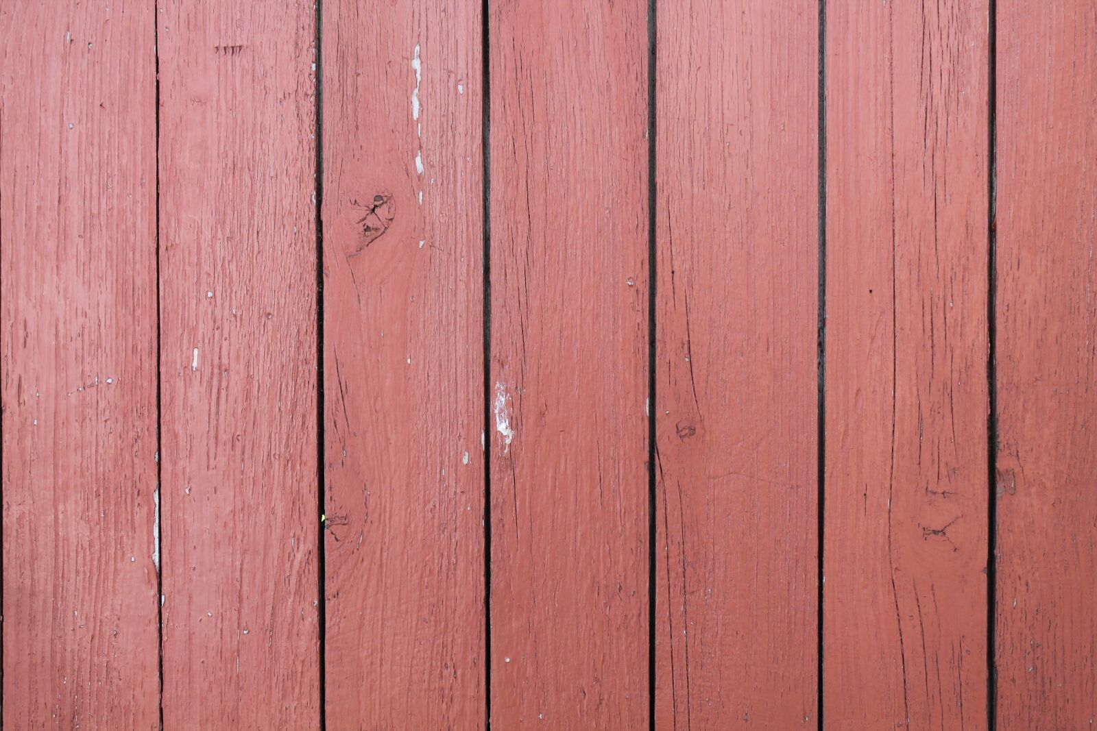 Canon EOS 1100D (EOS Rebel T3 / EOS Kiss X50) sample photo. Wood, red, background photography