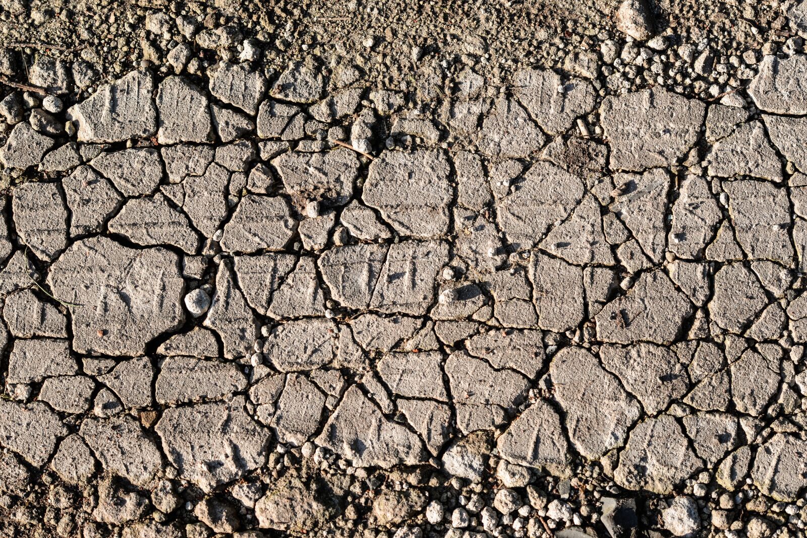 Nikon D610 sample photo. Land, ground, crack photography