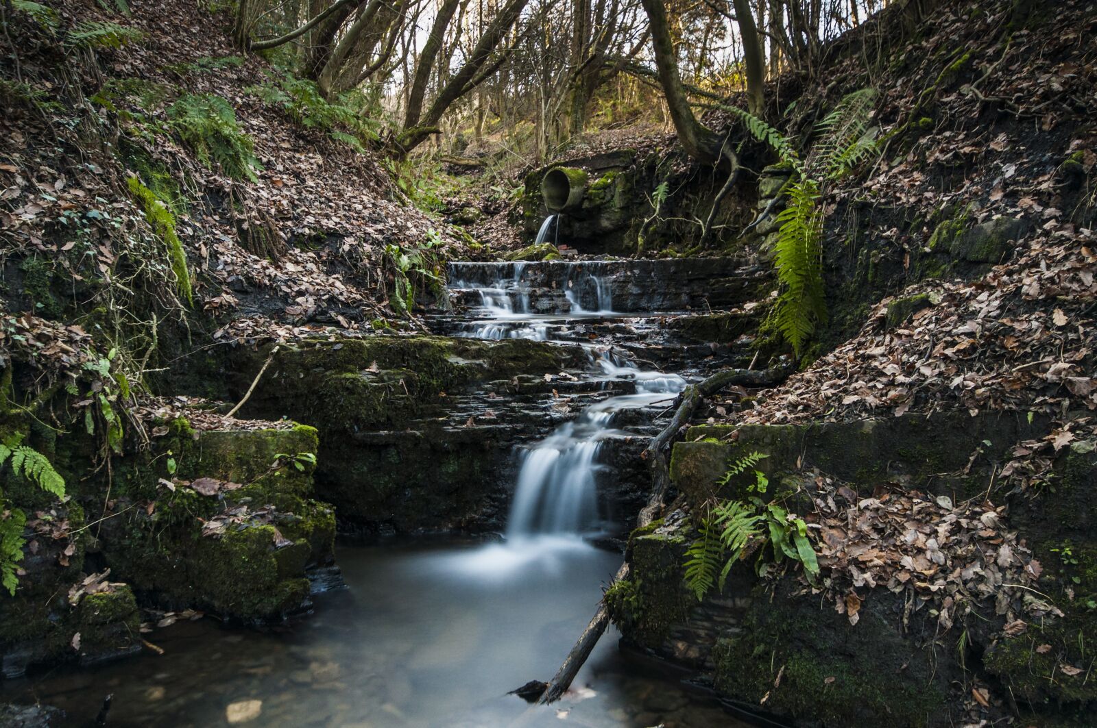 Nikon D90 sample photo. Water, river, landscape photography