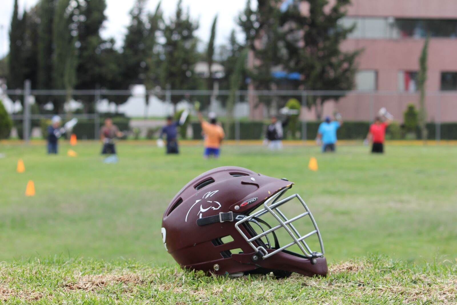 Canon EF-S 55-250mm F4-5.6 IS II sample photo. Lacrosse, sport, helmet photography