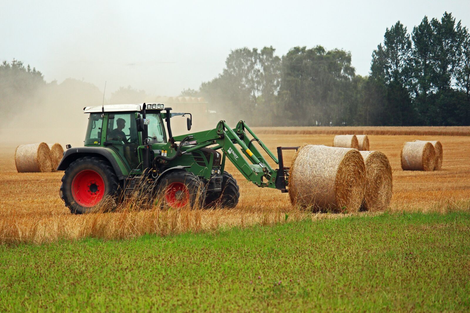 Canon EF-S 55-250mm F4-5.6 IS STM sample photo. Harvest, straw, hay photography