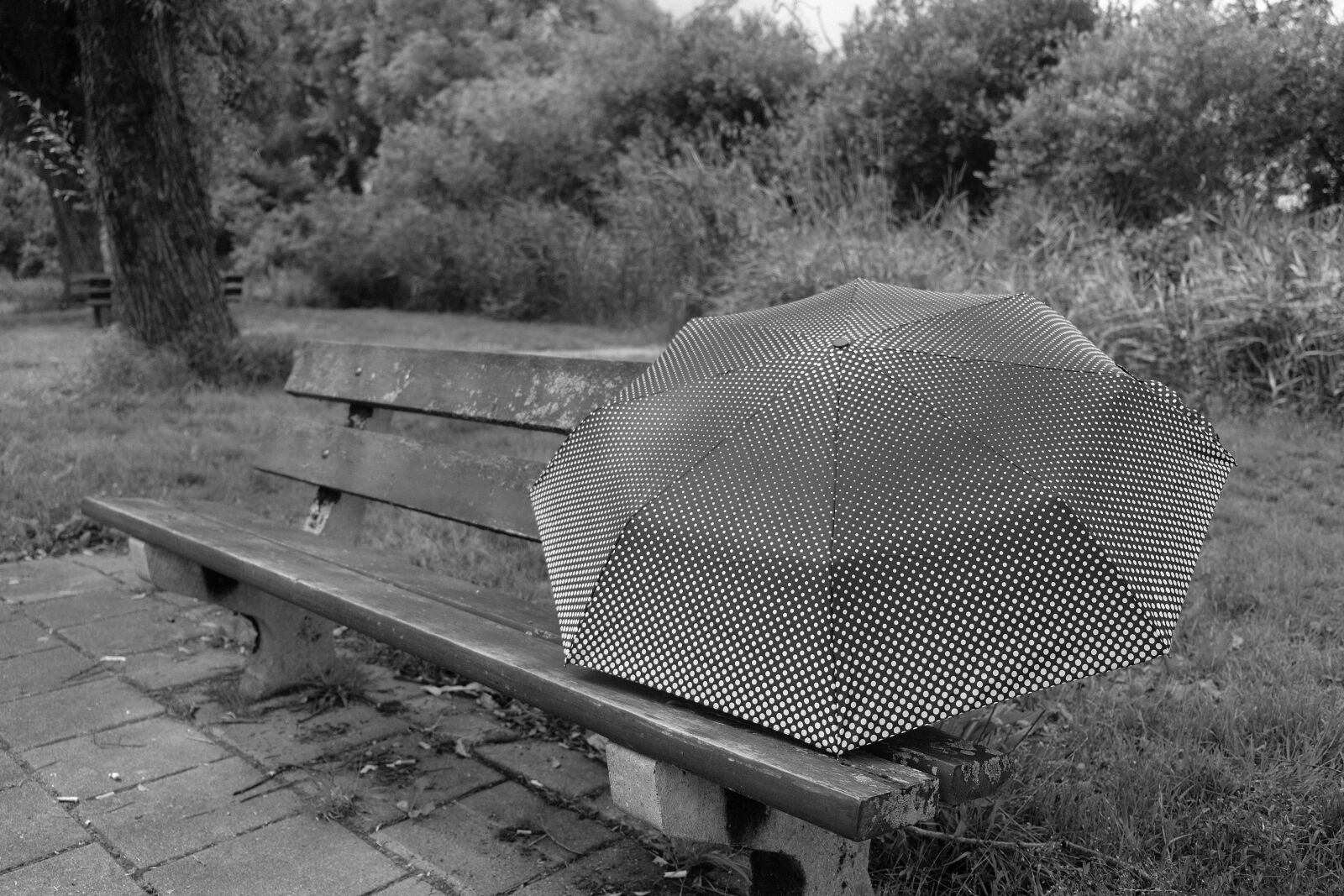 Fujifilm XF 18-55mm F2.8-4 R LM OIS sample photo. Bank, wooden bench, sit photography