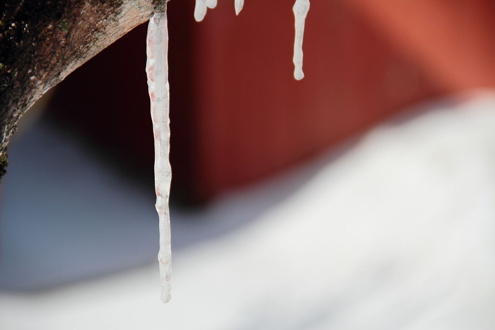 Canon EOS 7D sample photo. Background, ice, icicle, icicles photography