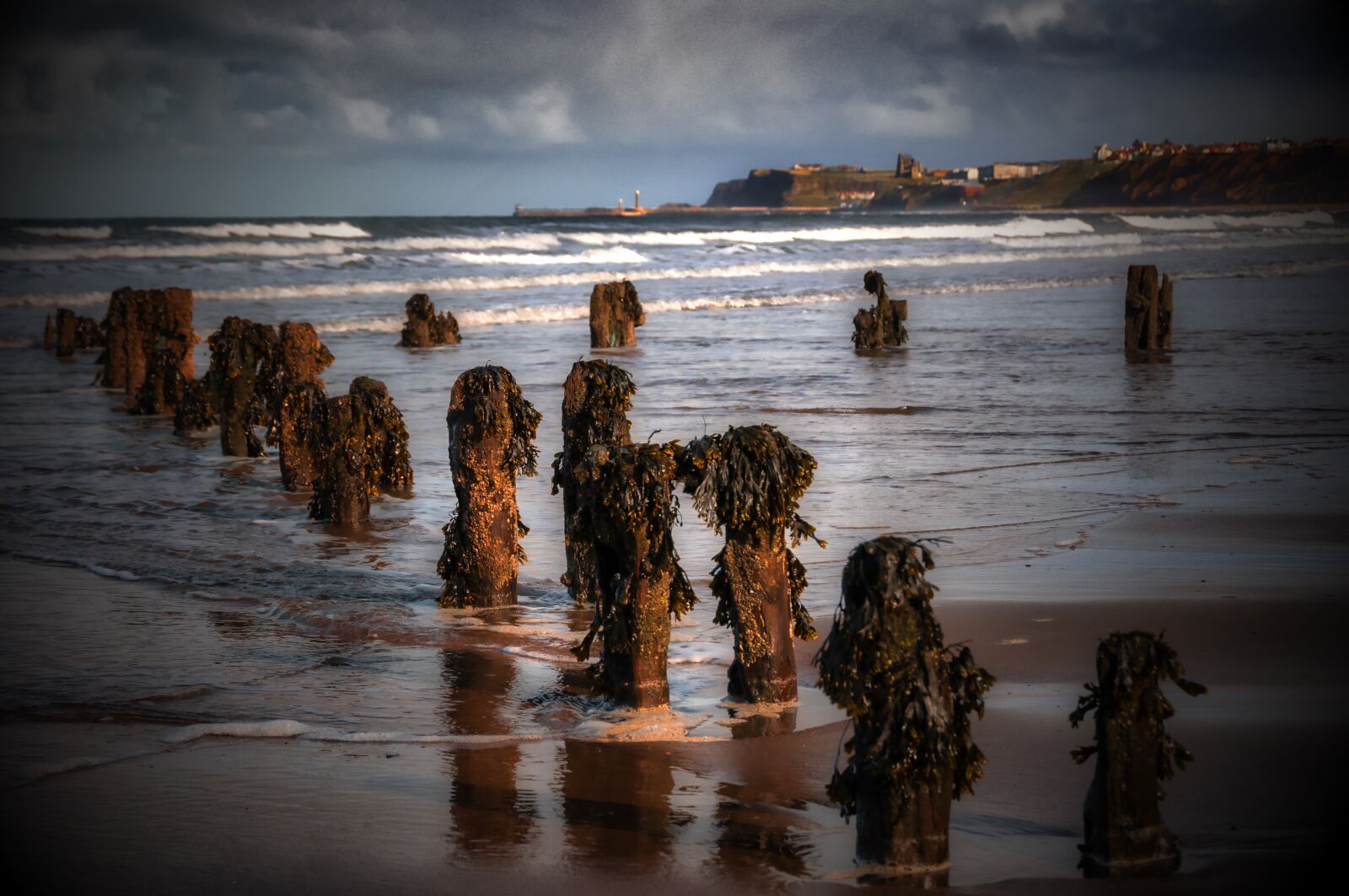 Nikon D300S sample photo. Groynes, water, seaside photography