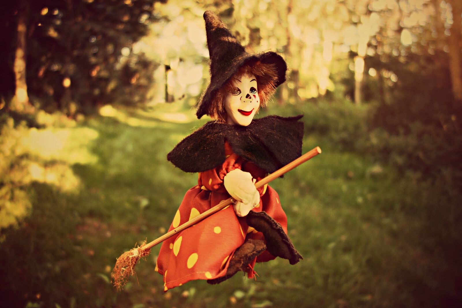 Sony Cyber-shot DSC-RX100 sample photo. Witch, broom, witch hat photography