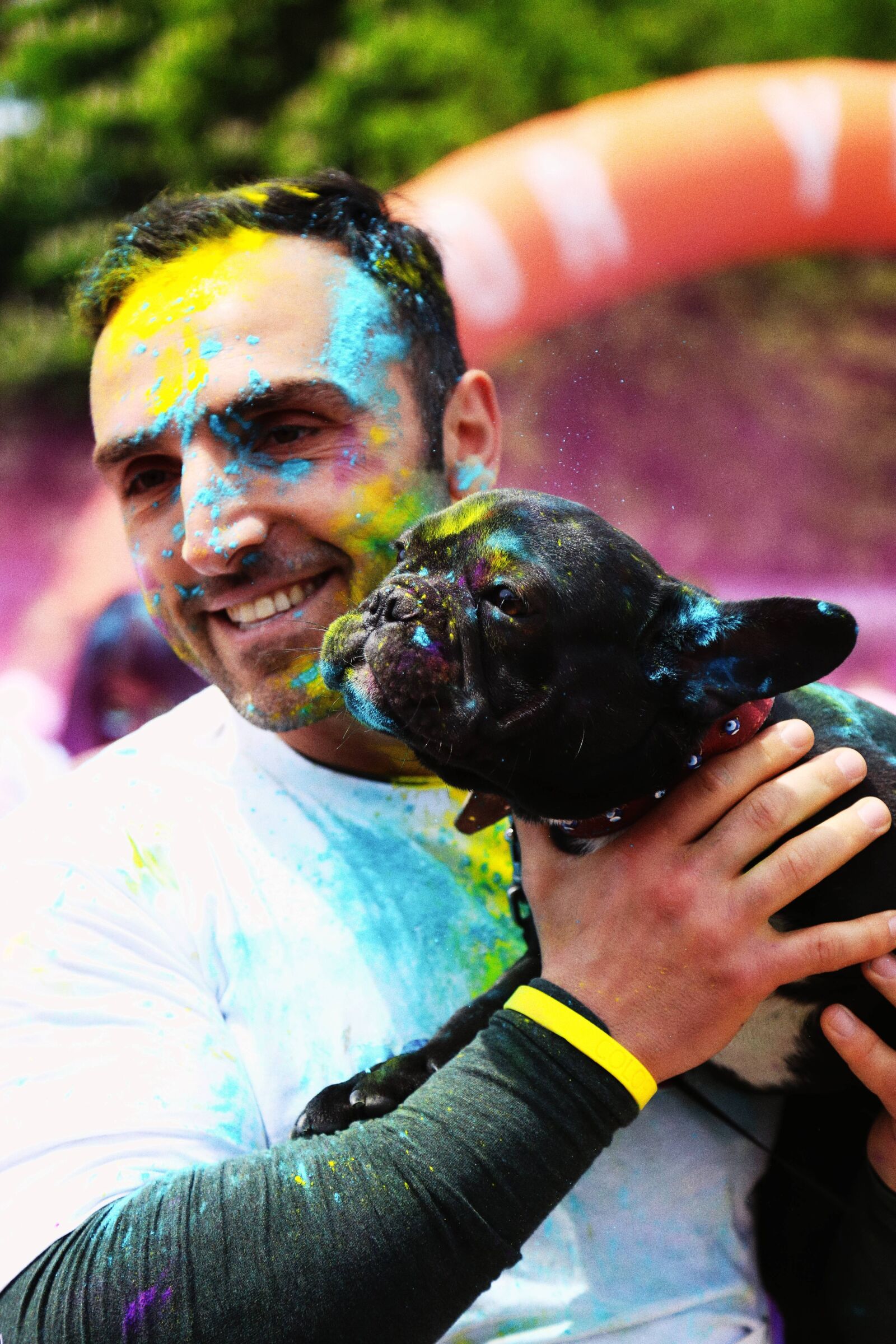 Canon EOS 6D + Canon EF 24-105mm F4L IS USM sample photo. Dog, colorful, animal photography