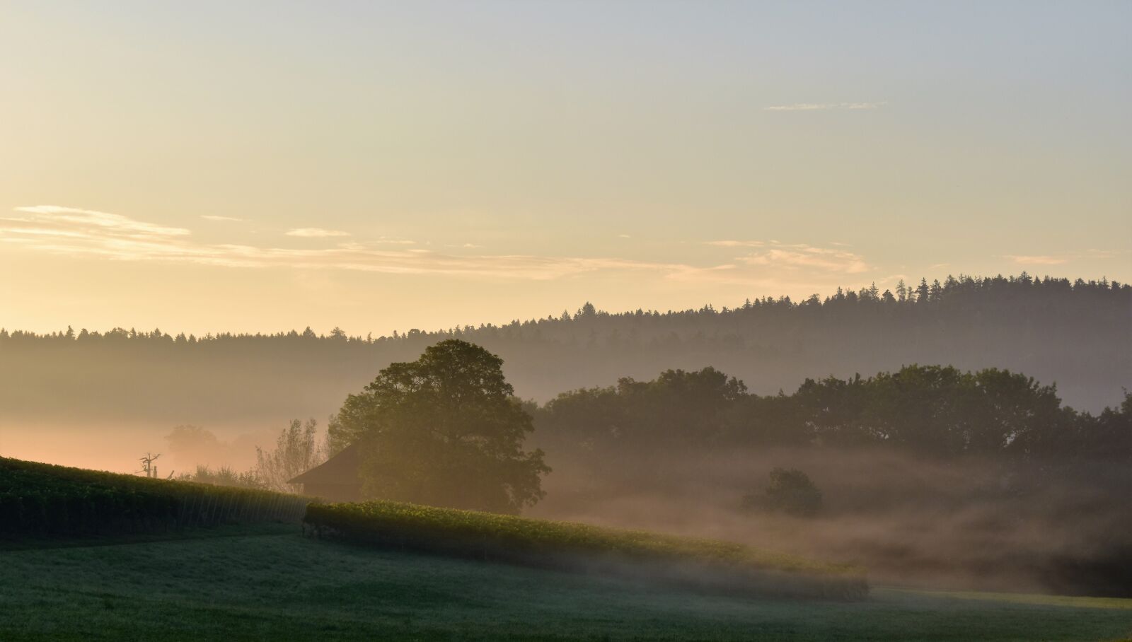 Nikon D5500 sample photo. Morgenstimmung, sunrise, skies photography