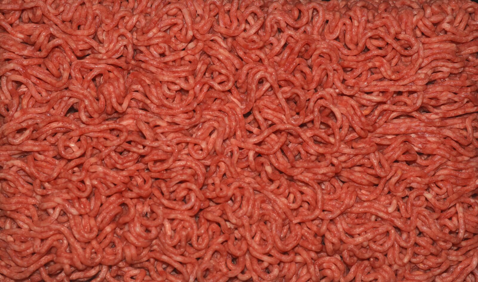Nikon D750 sample photo. Minced meat, raw, minced photography