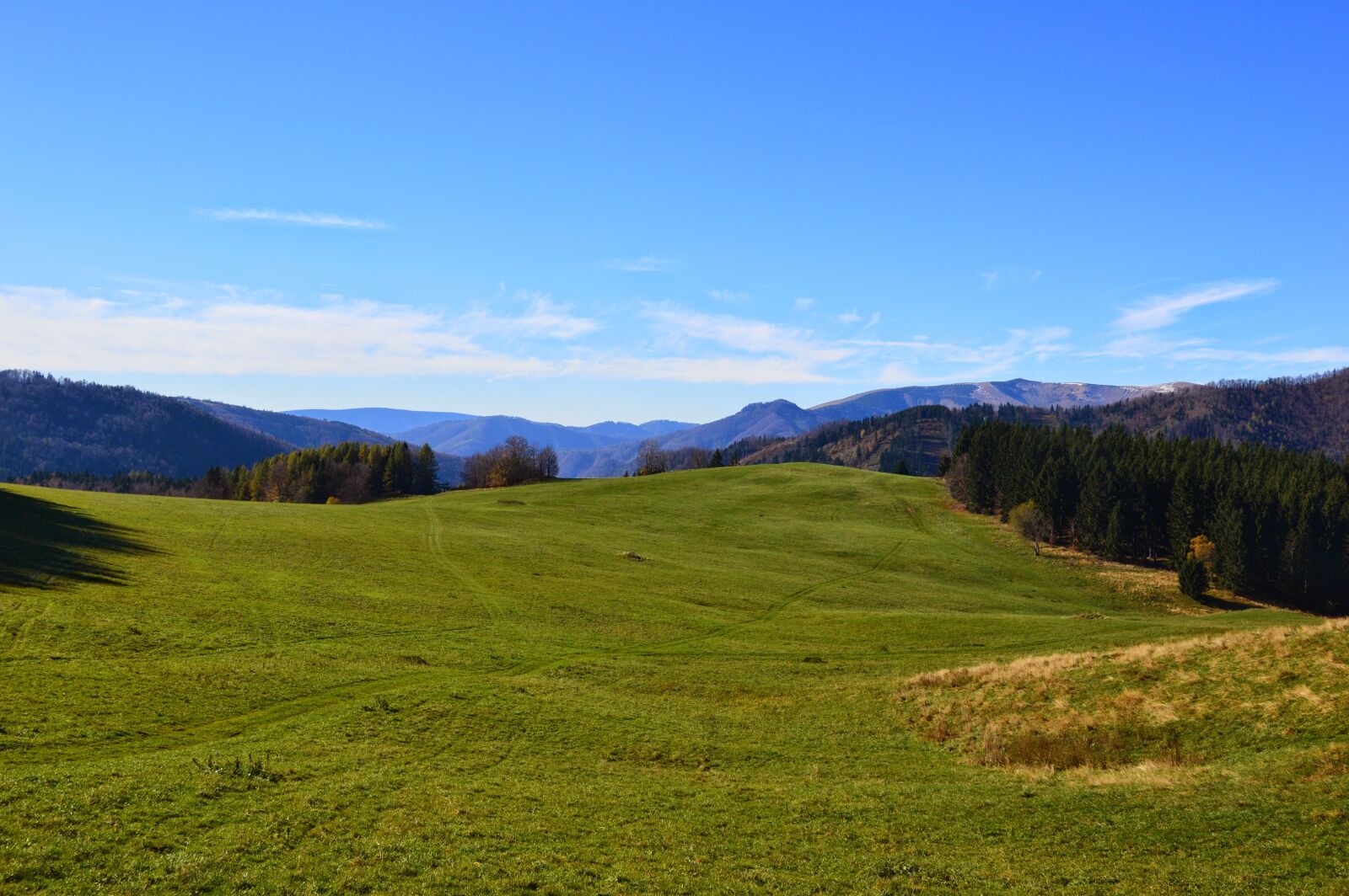Nikon D3200 sample photo. Field, nature photography