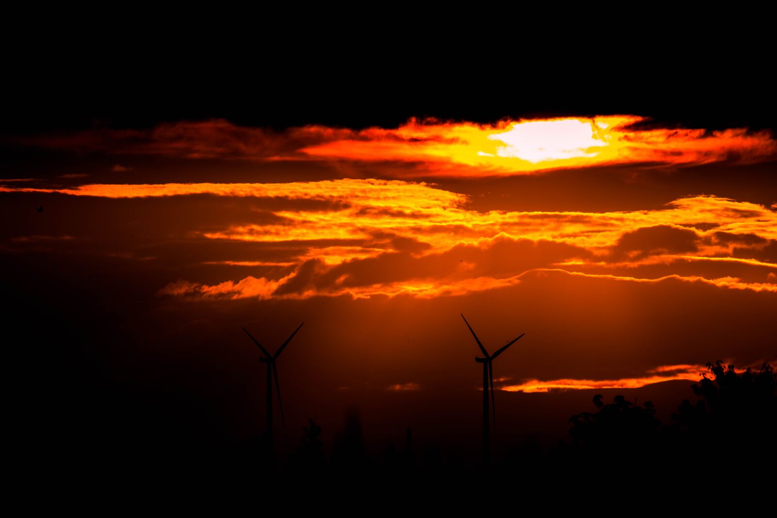 Canon EOS 750D (EOS Rebel T6i / EOS Kiss X8i) sample photo. Sunset, wind power, windr photography